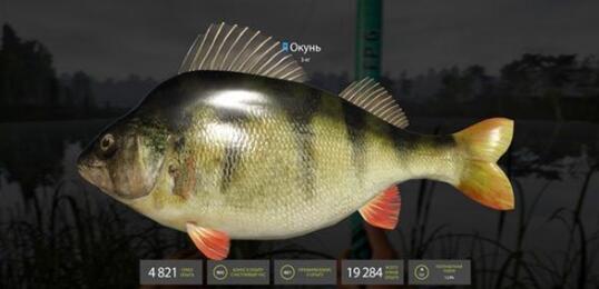 俄罗斯钓鱼4手机版截图1