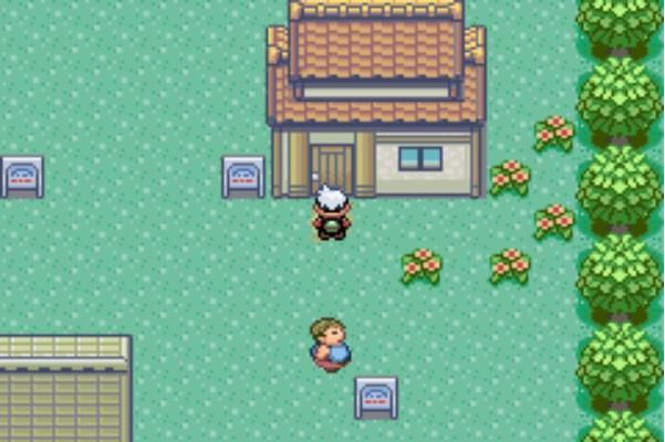 口袋妖怪究极绿宝石金手指截图0