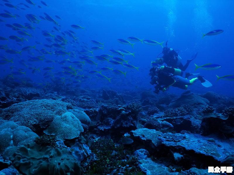 探索未知世界：《神秘海域》游戏深度评测与玩法解析