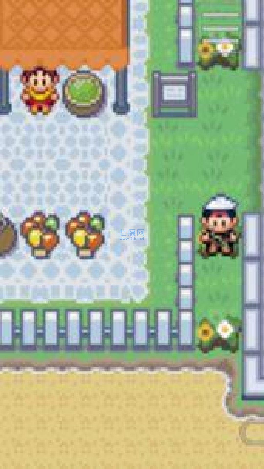 口袋妖怪增强绿宝石版截图1