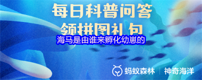 热门游戏推荐：探索最受欢迎的游戏世界