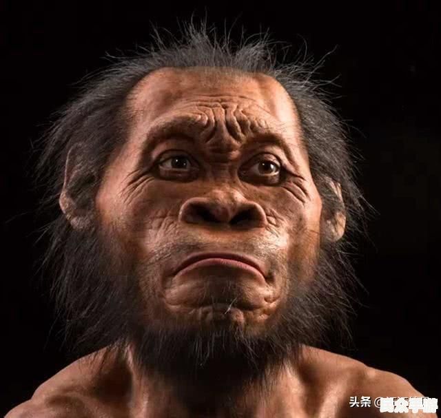 探索未知世界：游戏《神秘大陆》的玩法与特色解析