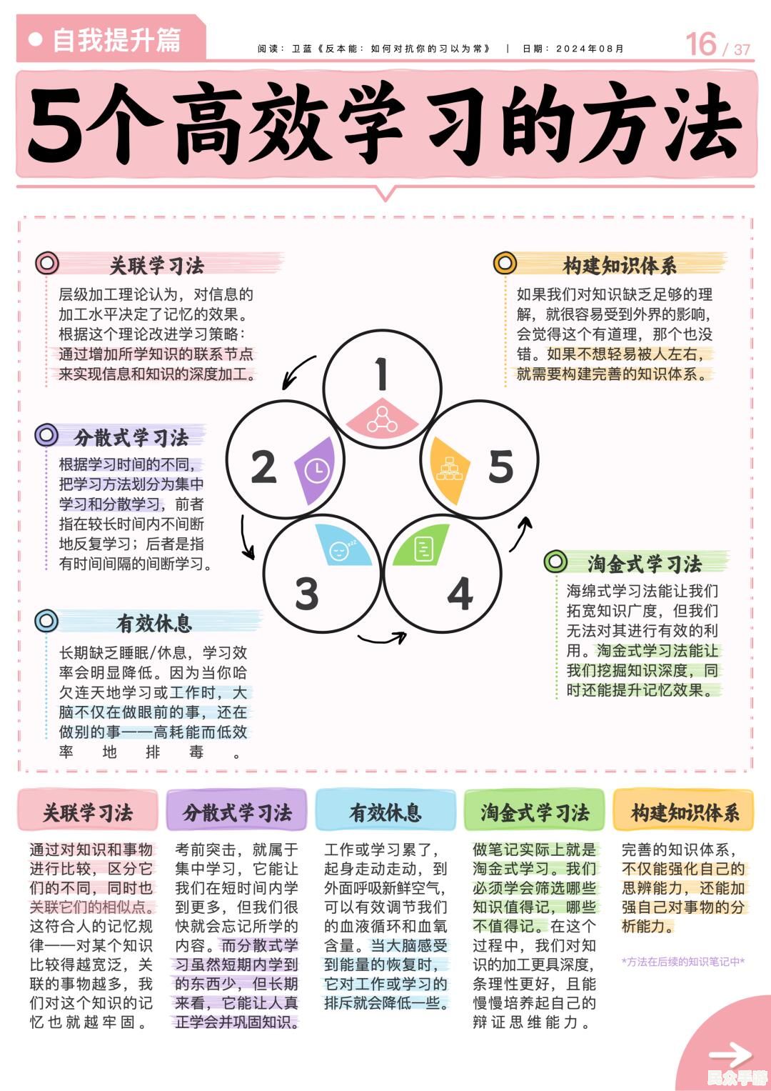 高效学习法：5个科学验证的技巧帮你提升学习效率