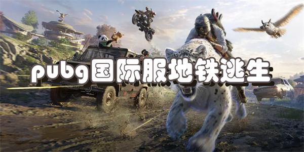 pubg国际服地铁逃生