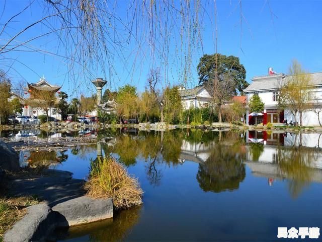 探秘热门游戏：玩法、特色与玩家心得全解析