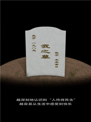 我的墓碑截图1
