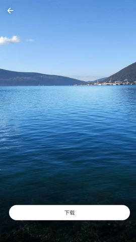 墨鱼主题商店app截图2