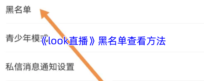 []游戏介绍：玩法特色与新手攻略