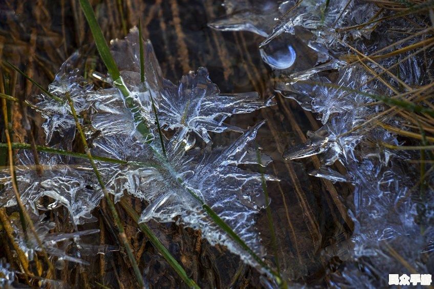 探索未知世界：《幻境之旅》游戏深度评测与玩法指南