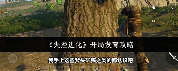 《原神》3.0版本前瞻：全新区域须弥、草元素角色与玩法解析