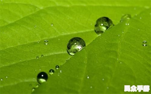 探索未知世界：游戏标题的魅力与玩法解析