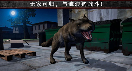 荒野流浪记截图0