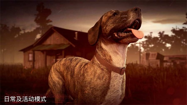 勇闯死人谷2正版截图0