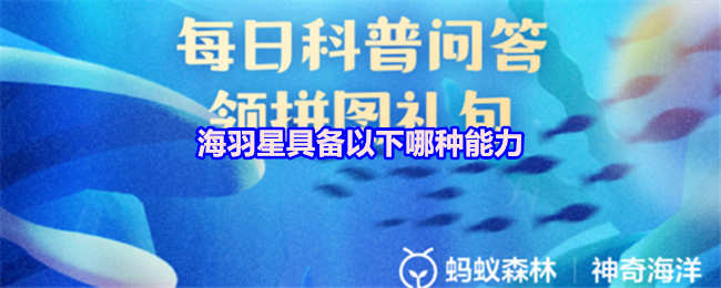 深入解析《原神》：开放世界冒险游戏的魅力与玩法