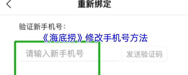 深入解析游戏标题：玩法特点、背景故事与玩家评价