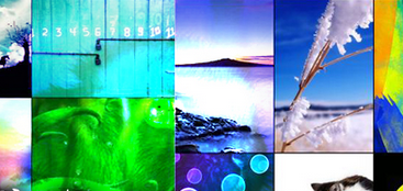 萤火虫壁纸app截图4