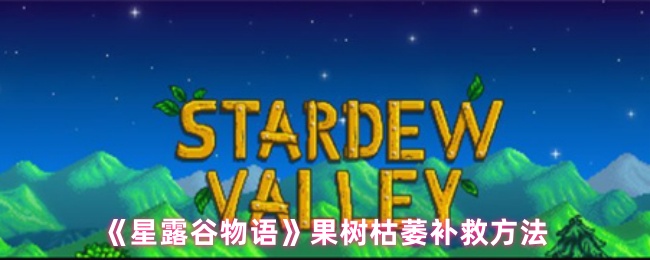 深入解析《艾尔登法环》：开放世界与魂系玩法的完美结合