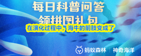 深入了解《原神》：开放世界冒险游戏的魅力与玩法解析
