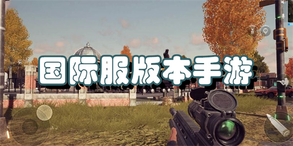 国际服版本手游