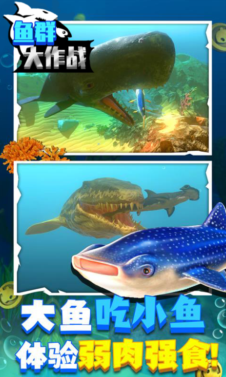 鱼群大作战截图0