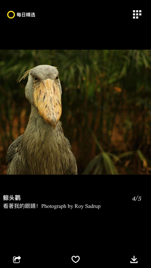 每日精选下载安装截图1