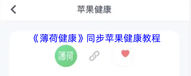 探索《未命名游戏》的玩法特色与沉浸式体验