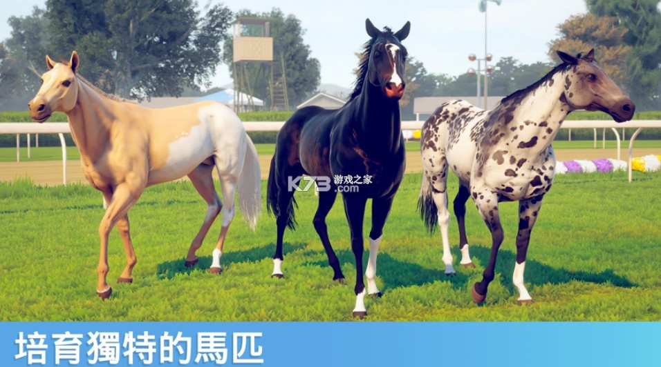 家族传奇手游截图2