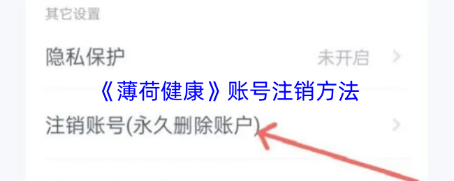 2023年最受欢迎的游戏推荐：从热门大作到独立精品