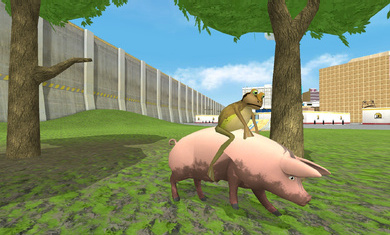 神奇青蛙正版中文截图4