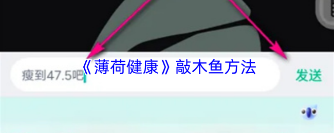 游戏标题解析：玩法、特色与玩家评价