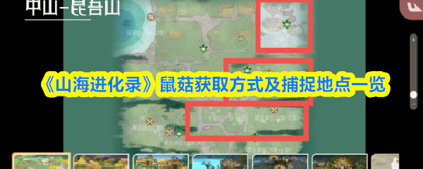 游戏标题解析：核心玩法与特色内容详解