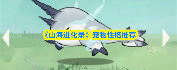 如何高效学习编程？5个实用技巧助你快速入门