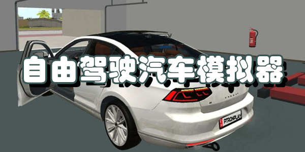 自由驾驶汽车模拟器