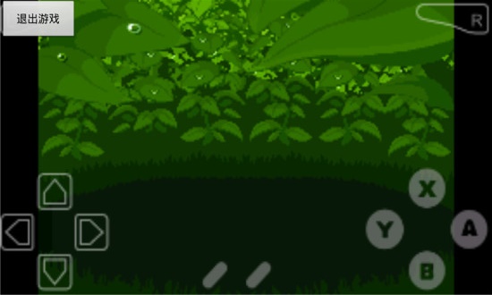 口袋妖怪漆黑的魅影9.0截图1