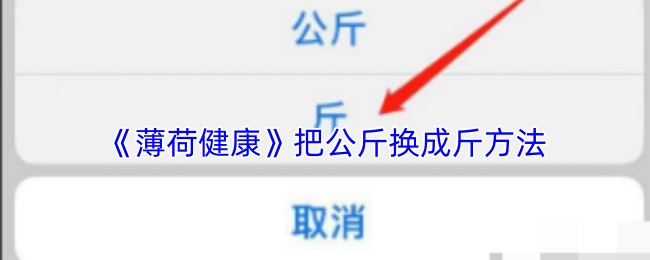 2023年最热门的游戏推荐：玩法、特色与玩家评价