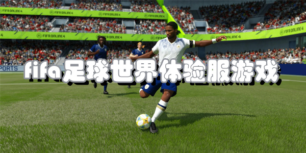 fifa足球世界体验服游戏