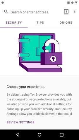 Tor Browser截图0