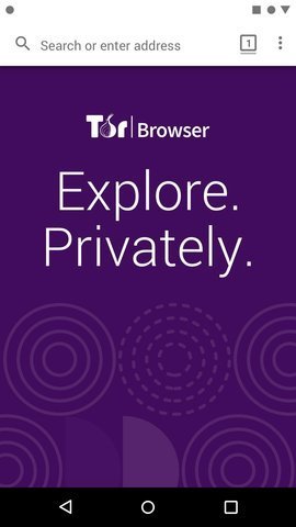 Tor Browser截图2