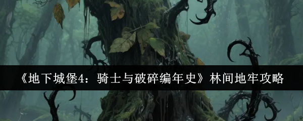 探索全新游戏世界，沉浸式体验等你来挑战