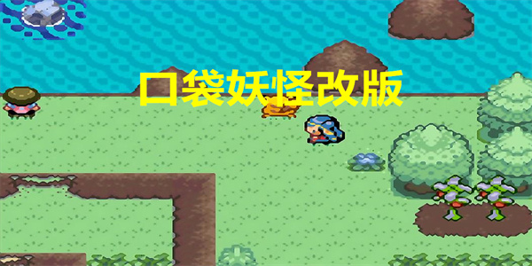 口袋妖怪改版