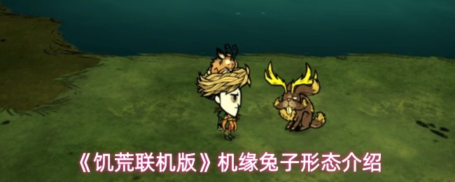 探索游戏设计的艺术：从概念到实现的全过程