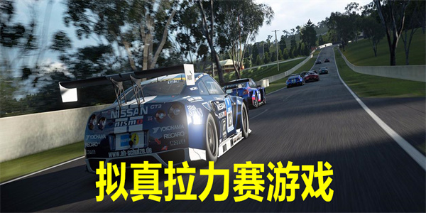 拟真拉力赛游戏