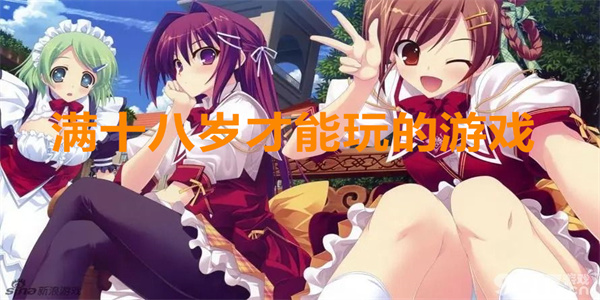 满十八岁才能玩的游戏