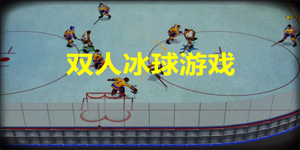 双人冰球游戏