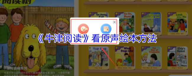 深入探讨游戏的魅力与挑战