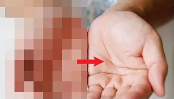 tecogan软件截图1