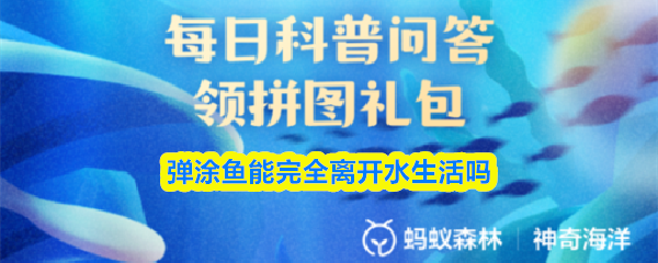 探索《奇幻冒险之旅》：进入一个充满惊喜的游戏世界