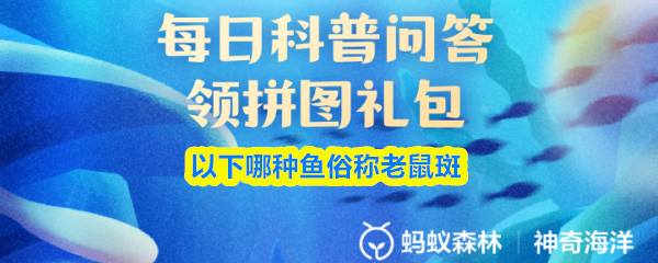 探索游戏世界：深入了解游戏的魅力与乐趣