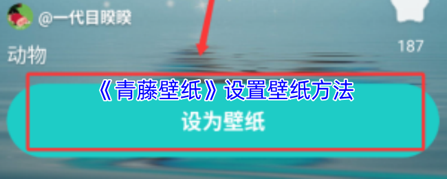 探索虚拟世界的精彩游戏体验