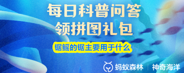 探索神秘游戏世界的魅力与挑战